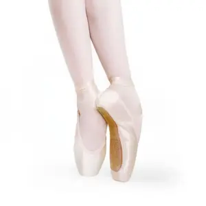 Virtisse Violette Pointe Shoes